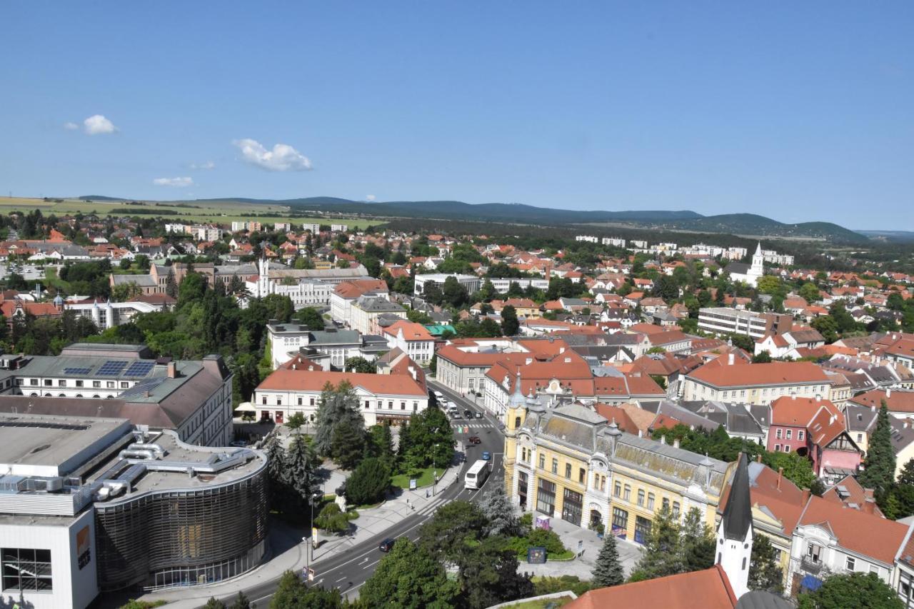 Panorama View Apartment Veszprém Zewnętrze zdjęcie